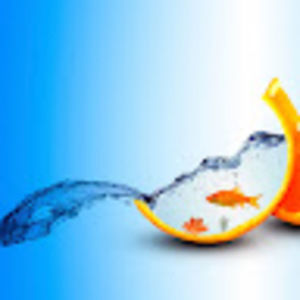 Meet your Posher, Laniya